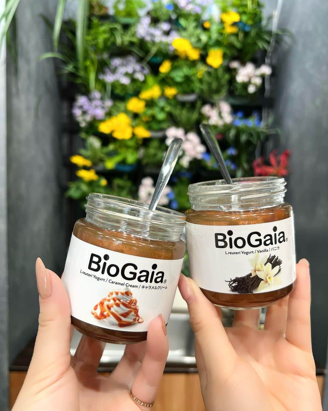 のインスタグラム：「. 職場の近くのヨーグルトとスムージーの専門店おいしかった🥺🍯 . かわいいワンコロいっぱいいた🐩 . #広尾#ランチ」