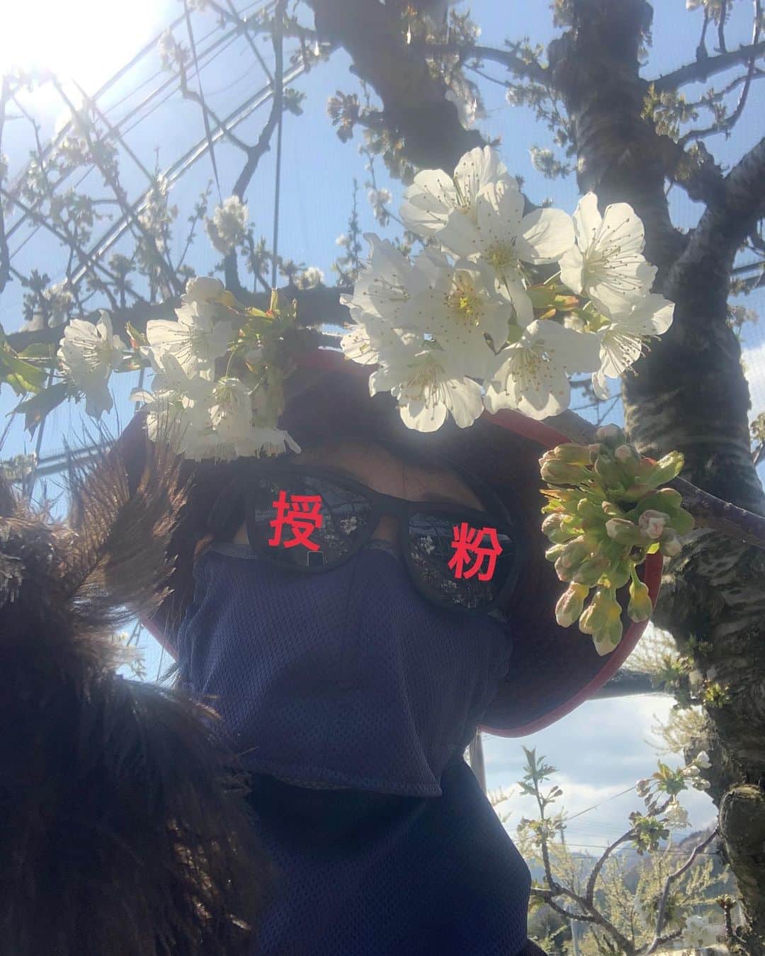 浅利そのみのインスタグラム