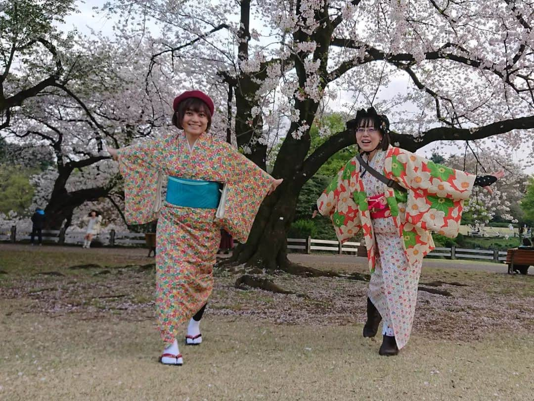 桜花さんのインスタグラム写真 - (桜花Instagram)「春みっけ🌸  新宿御苑で 桜きれいでぎょえーん！🍀☺️  馬場にゃんと✨ まだまだ桜咲いてました🌸🌸🌸    (着物)で目指せにん(きもの)〜！🍀  #新宿御苑  #ダジャレ  #だじゃれ #桜  #開花宣言 #cherryblossom」3月30日 23時38分 - mountainohka