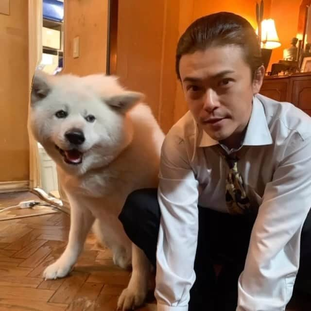 勝地涼のインスタグラム：「はいどぉも〜 マママママママーロウでぇす🐶 いよいよ明日‼️ 「映画ネメシス黄金螺旋の謎」 公開ですよ🐶😎 みなさんで盛り上げて頂いて 続編、また連ドラ、SPドラマ そして舞台ネメシスで全国をまわりたい‼️ そんくらい思いがつまってますよ ネメシスにも そして櫻井さんへも❤️ みなさん観てくれる❓ 観てくれるよね❗️ 指切りげんまん嘘ついたら 犬用ちゃおちゅ〜る1000本 もぉ〜らう指切った🐶  #映画ネメシス  #ネメシス  #マーロウ #こんなんしちゃうなんて #うらやまし ？ #上田竜也　様 #よ #うそですごめんなさい  #共に #櫻井翔  #愛を #これからも @tatsuya.ueda_j  #沼 #勝地涼 #負け地涼 #M地涼 #M地-涼」