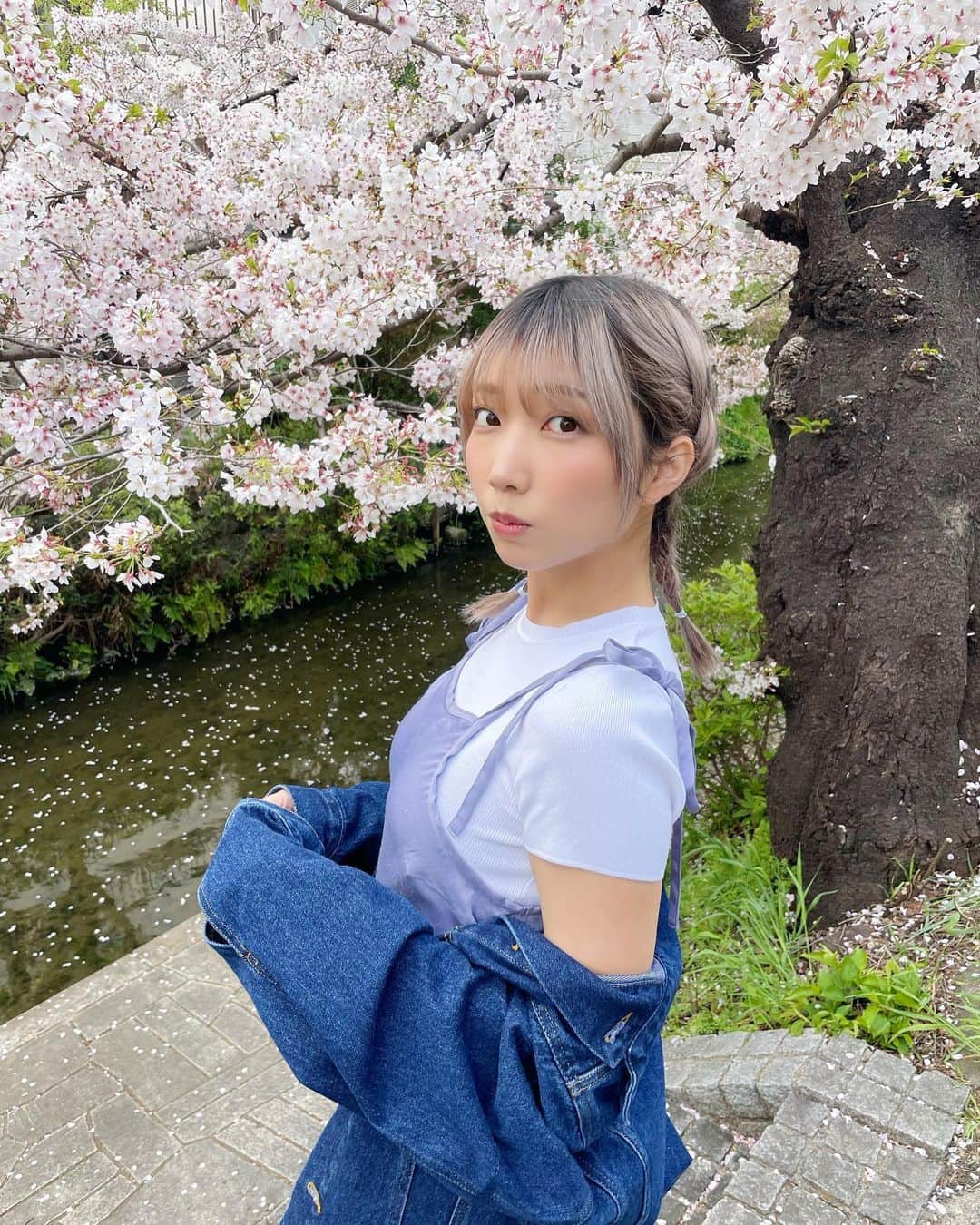 霜月めあのインスタグラム：「桜きれいだったなぁ🌸 . . .  #霜月めあ #めあめあ #model #sexy #selfie #animegirl #셀카 #셀스타그램 #패션스타그램 #데일리 #asiangirl #cosplay #좋아　 #follow #like #tokyo #ootd #自撮り界隈 #自撮り女子 #sexybody #love #맞팔 #tagsforlikes #japanesegirl #女孩 #发#爱 #instadaily #グラビア #日系穿搭」