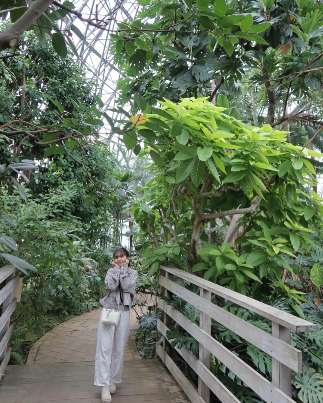 kasumiさんのインスタグラム写真 - (kasumiInstagram)「先日行った夢の島が 本当に夢のような空間でした🌈🌴  都会のオアシスでマイナスイオンを浴び 癒されてきました☺️🌿  のけ反るほど大きな葉や 滝の中を歩いたり。。 はぁ〜幸せだったぁ😌  みんなにもぜひ行ってほしいほど ゴリ推しスポットです🫰🏻   #自然 #熱帯雨林 #観葉植物 #癒し #植物園」3月31日 0時04分 - _kasuchannel_