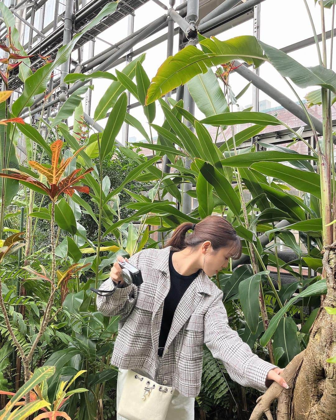 kasumiのインスタグラム：「先日行った夢の島が 本当に夢のような空間でした🌈🌴  都会のオアシスでマイナスイオンを浴び 癒されてきました☺️🌿  のけ反るほど大きな葉や 滝の中を歩いたり。。 はぁ〜幸せだったぁ😌  みんなにもぜひ行ってほしいほど ゴリ推しスポットです🫰🏻   #自然 #熱帯雨林 #観葉植物 #癒し #植物園」