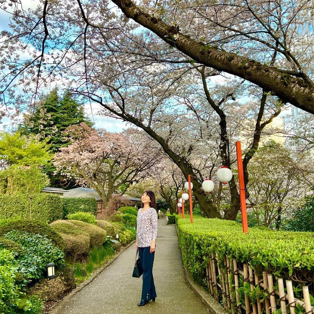 牛窪万里子さんのインスタグラム写真 - (牛窪万里子Instagram)「桜も終盤に差し掛かりました。雨の日が多かったのですが、一昨日は晴れ間も出て、ゆっくりと鑑賞出来ました。  景子さんと一緒に#グランドプリンスホテル新高輪 の敷地内に咲く桜を見て回り、さらに天王洲へ移動して目黒川クルーズまで。船に乗りながらのお花見も新鮮で桜も満開で美しかったです！  #お花見 #桜も終盤 #見納め #お花見クルーズ #目黒川 #桜」3月31日 0時10分 - mariko_ushikubo