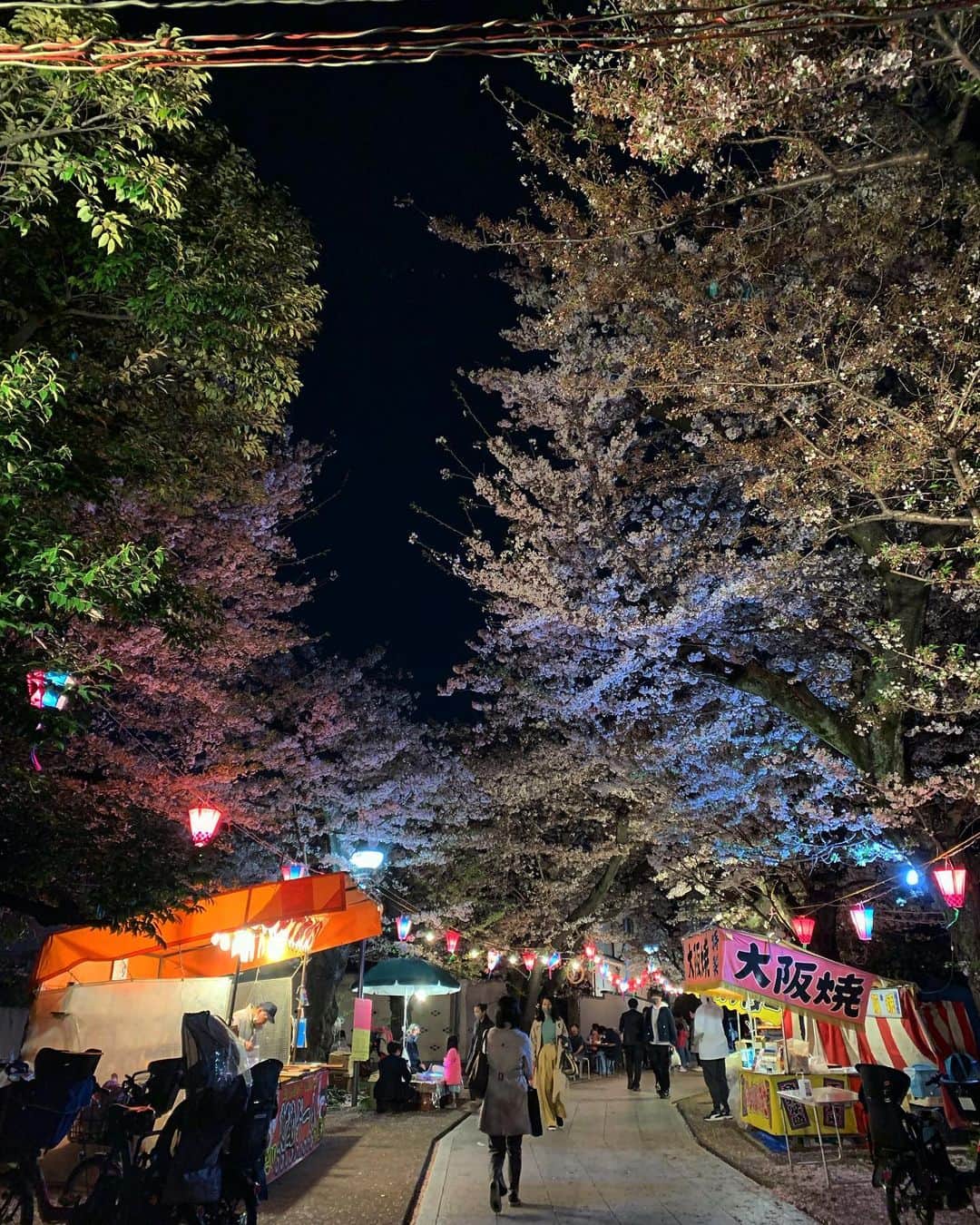 りかこのインスタグラム：「桜まつり🌸🌸🌸」