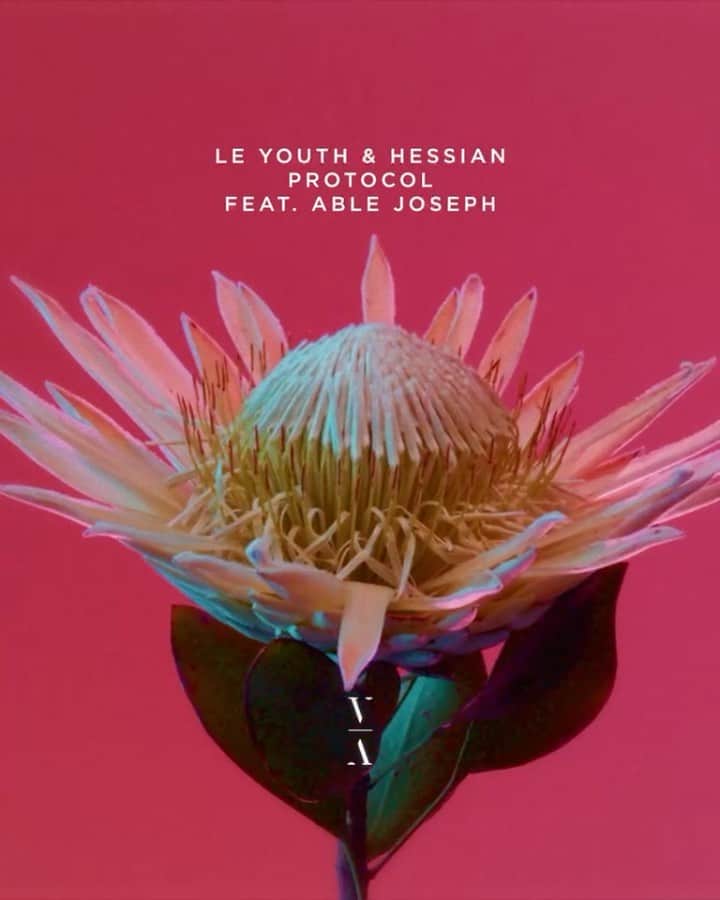 ル・ユースのインスタグラム：「new music out today! go listen. I’m really proud of it  “protocol” is my collab with hessian and able joseph  when I made this record I was living in venice beach. had just released my album. at the time I was obsessed with hessian’s “white lies” record (still am. think I’ve played it at nearly every show on this tour) and I wanted to make something with him. able joseph and I had already been talking about doing something after I heard him on grum’s album. everything just came together really nicely… all without ever having actually met in-person! that’s how “protocol” was born. I think it’s catchy as hell and can’t wait to start playing it out  now I’m on a flight to new orleans for one of the final shows of this tour. on very little sleep. surviving on coffee and spotify… but so happy  out on @thisneverhappened <3」
