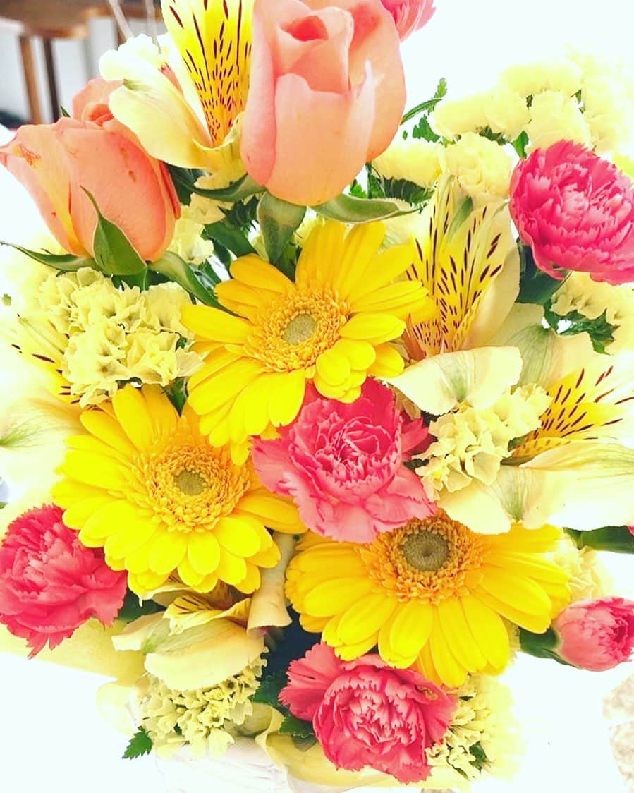 鶴久政治さんのインスタグラム写真 - (鶴久政治Instagram)「花は誰のもの？花はみんなのものあ！…今日はオレの！」3月31日 10時26分 - masaharutsuruku