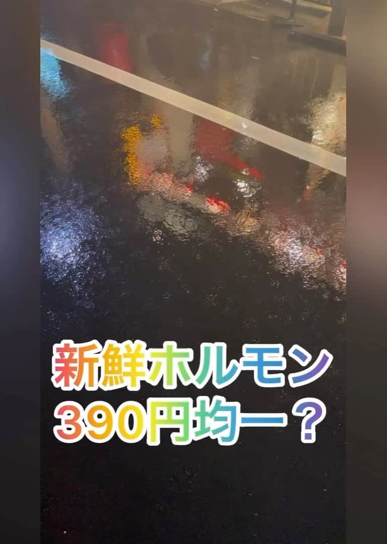 クック井上。のグルメインスタ