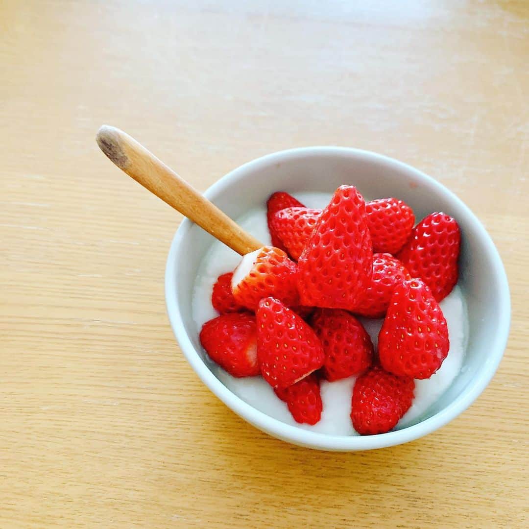 梅津有希子さんのインスタグラム写真 - (梅津有希子Instagram)「朝のフルーツ。 いちごが安かった🍓  やっぱりこの時期はもう長く持たないので、「明日までは無理そうだな」と判断してぜんぶ食べちゃう。  満足😋  #朝ごはん #いちご #苺 #strawberry」3月31日 10時48分 - y_umetsu