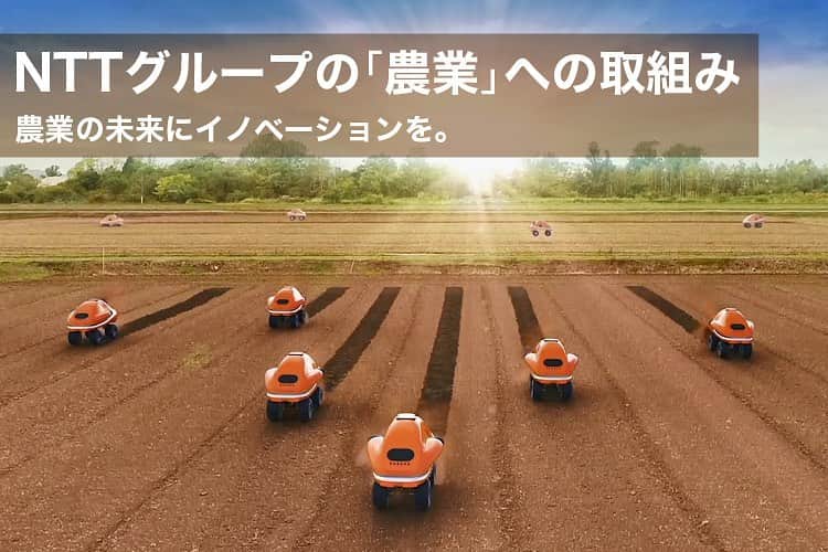 NTTのインスタグラム：「. NTTグループの農業🌾への取組みについての紹介ページを公開しました📣  就業人口の減少や高齢化、耕作放棄地の増加など、日本の農業の様々な課題をICTを活用して解決すると共に、DXにより、新たな価値を創出します✨  NTTのグループ連携の取組みだけでなく、NTT東日本やNTTデータ、ドコモビジネスでの農業に関する取組みについてもまとめています！  #農業 #食農 #NTTRD」