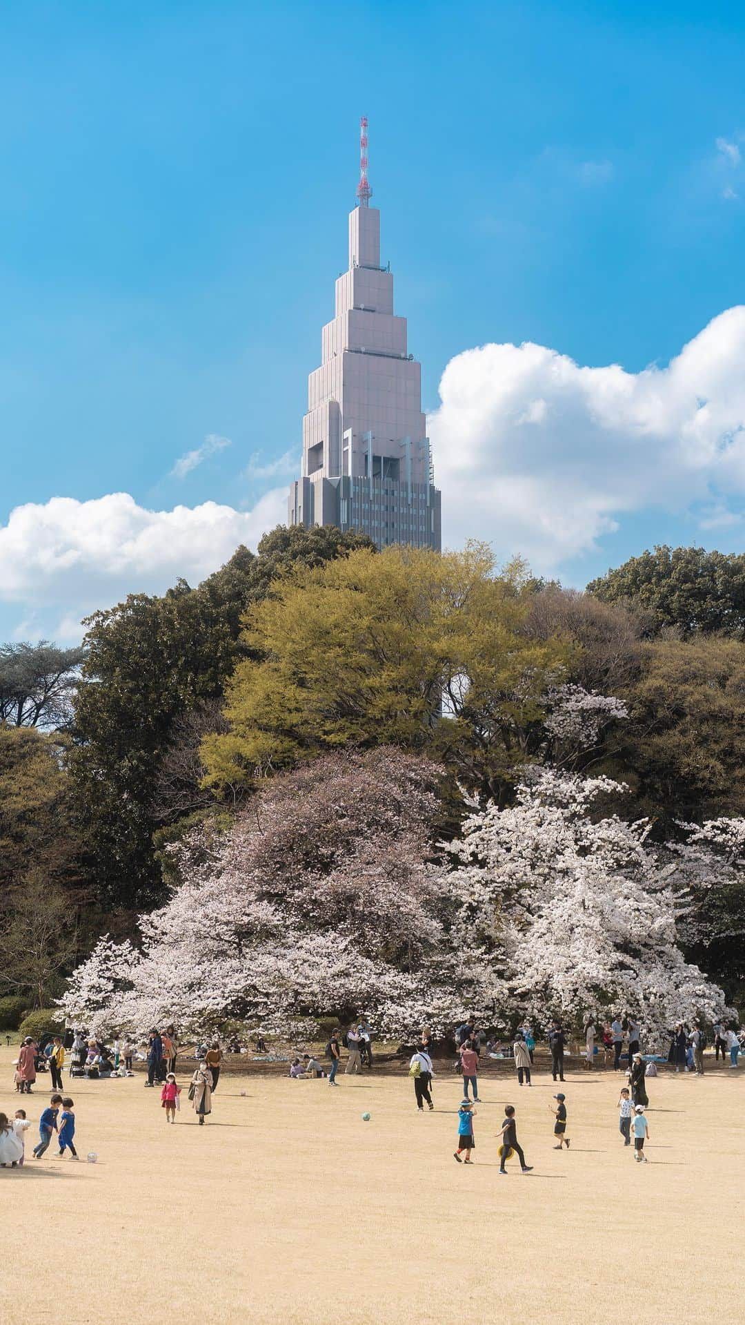 Joshのインスタグラム：「// Shinjuku Park before and after the bloom of sakura! This was a 10 day difference, but I didn’t get to capture all the spots at full bloom as it was rainy on some days and different for each tree. I hope to try this again next year with a little better positioning and planning. I’m so glad I got the yearly pass for the park as it is only 2,000 yen and I’ve already been 4 times to make up the price. Ready for more photo shoots! . . . . #japan #japaneseculture #portraitgasm #portraitmood #portraitsociety #makeportraits #sonyportraits #under10kportraits #portraitmovement #ポトレ #ポトレのセカイ #ポトレモデル #美女 #visitjapan #visitjapanjp #visitjapanau #explorejapan #exploretokyo #discoverjapan #discovertokyo #matcha_jp」