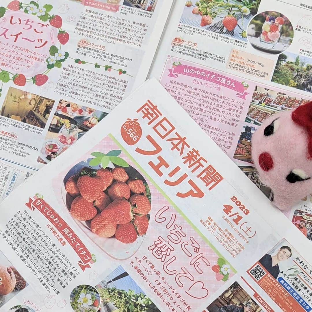 南日本新聞フェリアのインスタグラム