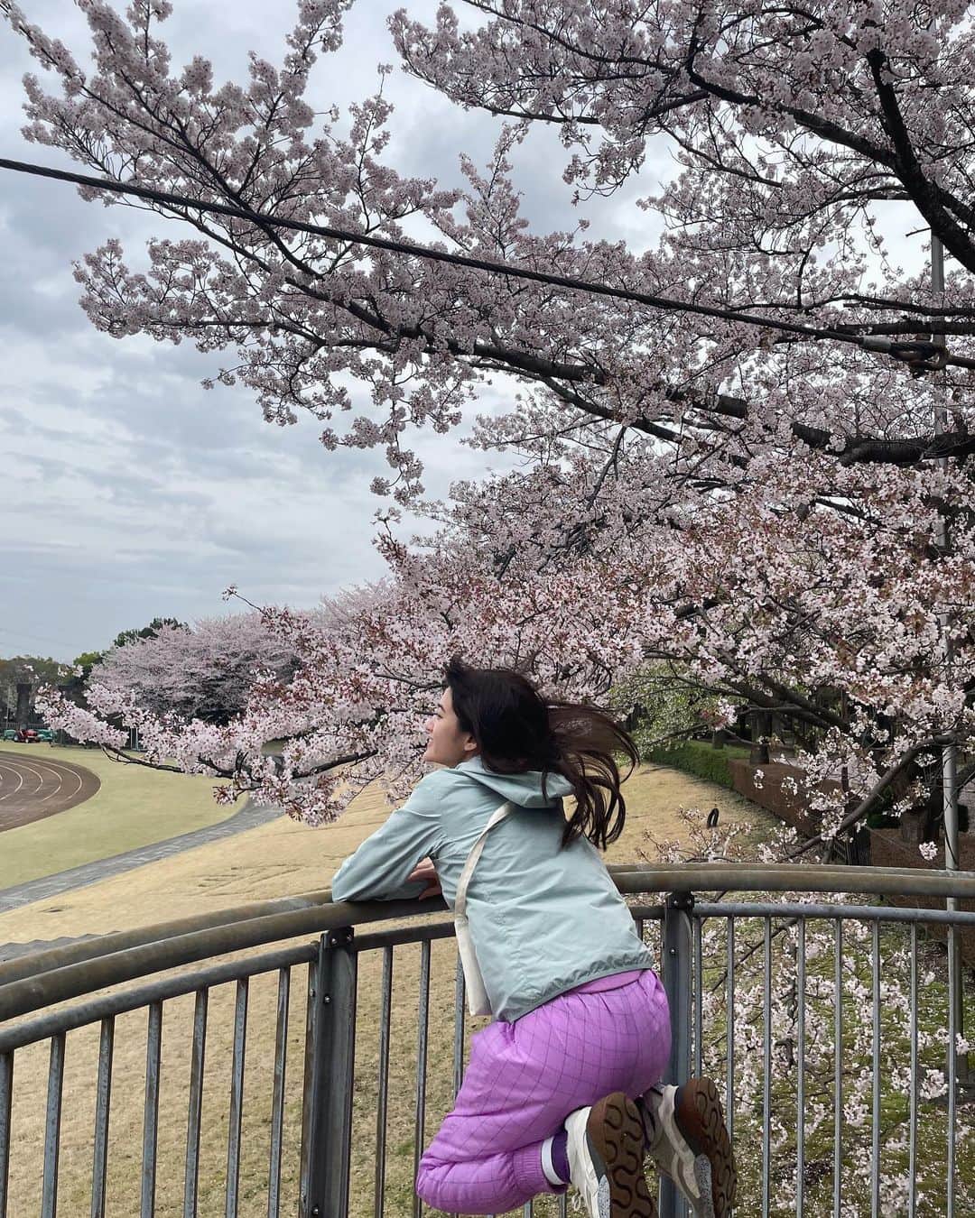 小西桜子さんのインスタグラム写真 - (小西桜子Instagram)「🏃‍♀️👟🌸 今年はゆっくりお花見っていうのはできてないけど、行く先々にたくさん咲いてて、やっぱりきれいだなーとか、見るだけで元気になるなーて思います。雨続きで桜いっぱい散っちゃってかなしいけど、持って帰って押し花にしました。  そういえば、ちょっと前に最後のラインブログさん投稿しました。編集したりとかコメントしたりとかはできないけど、まだ見ることはできるみたい。(すでにすごく編集したい…) リンクはまだ貼っておきます。」3月31日 12時02分 - sakurako_kns