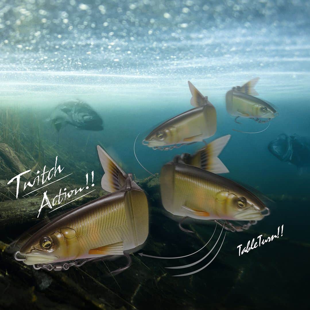 Megabass Inc.のインスタグラム：「残酷な禁じ手。 パニックスラロームで一撃！ MAGDRAFT 鮎 AYU TWITCHER  https://www.megabass.co.jp/site/products/magdraft_ayu_twitcher/ #Megabass #MagdraftAyuTwitcher #MagdraftAyu #Magdraft #YukiIto #メガバス #マグドラフトアユトゥイッチャー #マグドラフトアユ #マグドラフト鮎 #マグドラフト #伊東由樹」