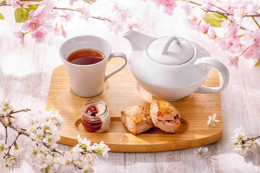 ヒルトン名古屋さんのインスタグラム写真 - (ヒルトン名古屋Instagram)「桜スコーンと紅茶で ひと息つきませんか？🌸☕✨  スコーンをひとくち食べれば、ふわりと桜の風味が広がります。 薫り高いロンネフェルト社の紅茶はポットサービスで、たっぷりご用意しています。  ホテルのカフェで、ゆっくり流れる時間をお楽しみください✨  詳細は @hiltonnagoya よりご覧いただけます。  #ヒルトン名古屋 #カフェ33 #桜 #さくら #サクラ #桜スイーツ #さくらスイーツ #サクラスイーツ #スコーン #桜スコーン #ロンネフェルト #ティータイム #伏見カフェ #カフェ #hiltonnagoya」3月31日 12時00分 - hiltonnagoya