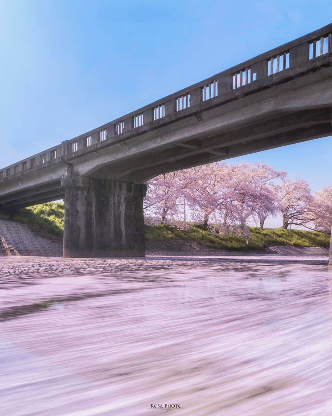 コサさんのインスタグラム写真 - (コサInstagram)「さくらでピンク色に染まる川をまた見たい . Location:奈良 Nara / Japan🇯🇵 Date:2020年4月 Camera:D5 / 15-30mm f2.8 . #Japan_Daytime_View #love_rox_5 #みんすと桜祭 #raytrek_uniquetome #じゃびふる_2023春色 #japancityblues #nikoncreators #nikoncreators_2022myfavorite #longexposure_japan #longexposure_shots #tokyocameraclub #art_of_japan_ #jgrv_member #team_jp_ #photo_jpn #sorakataphoto #LBJ_KING #私の瞳がきらめいた瞬間 #広がり同盟メンバー #special_spot_legend #deaf_b_j_ #japan_best_pic #japan_bestpic_ #ptk_japan #bestphoto_japan #bestjapanpics #Lovers_Nippon #pixlib_jp  #Rox_Captures #raw_japan」3月31日 7時05分 - kosa_photo