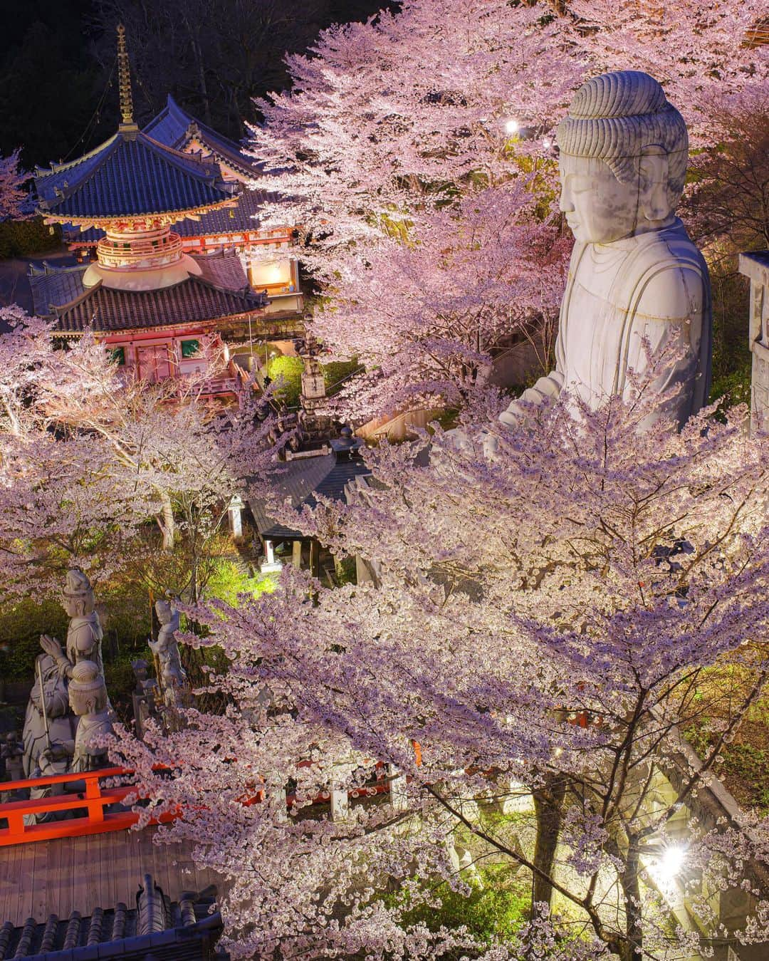 Takefumi Tezkaのインスタグラム：「✴︎壷坂寺　桜ライトアップ🌸 ✴︎行ってきました📸 ✴︎ちょうどABC TVの中継が入っていて ✴︎いつもより明るいライトアップになっていました ✴︎ ✴︎奈良県 ✴︎  #壷坂寺#春#桜#奈良県#日本#japan#pentax#instagramjapan#東京カメラ部#tokyocameraclub#instagram #photo_shorttrip #art_of_japan_ #ライトアップ#master_shots#special_shots#ig_serenity#wonderful_places#photo_travelers#team_jp_#visitjapanjp#retrip_nippon#retrip_news#inspiring_shot#japantravelphoto#worldprime#ペンタックス#1x #1x_japan」