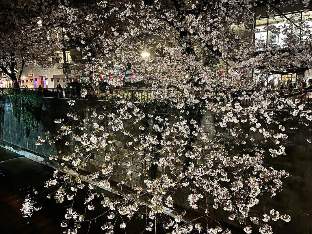 有働文子さんのインスタグラム写真 - (有働文子Instagram)「🌸🌸🌸  Cherry blossoms were as beautiful as ever. もう葉桜だよ.....  #中目黒 #目黒川 #大好きな場所  #フリーアナウンサー #アナウンサー　 #cherryblossoms #新年度スタート」3月31日 7時50分 - udou_fumiko