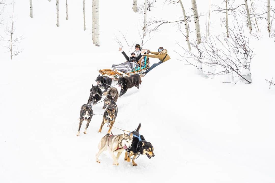 ロビン・シックさんのインスタグラム写真 - (ロビン・シックInstagram)「Next up, the Iditarod!!! 😂」3月31日 9時17分 - robinthicke