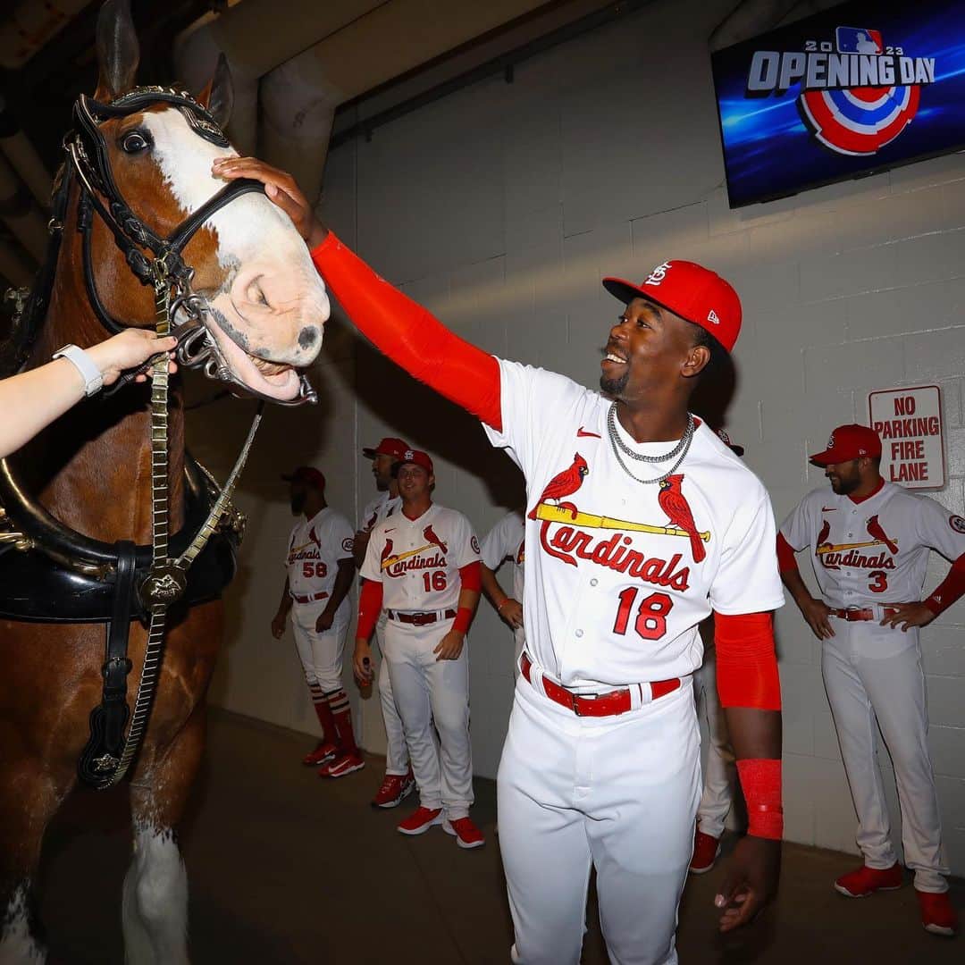 セントルイス・カージナルスさんのインスタグラム写真 - (セントルイス・カージナルスInstagram)「20-year-old Jordan Walker made his MLB debut on Opening Day! ⚾️」3月31日 9時17分 - cardinals