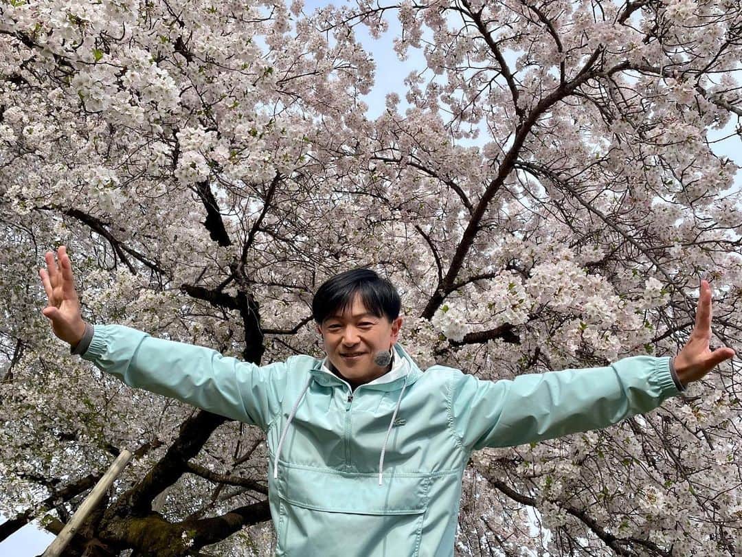 依田司さんのインスタグラム写真 - (依田司Instagram)「3月31日（金） 東京都国分寺市『武蔵国分寺跡』から。 市名の由来となっている武蔵国分寺跡は、 かつての武蔵国を代表する観光地です。 史跡地内にはソメイヨシノやシダレザクラ、ヤマザクラなど4品種30本の桜が花盛りです。 様々な桜が咲き誇る花見の好スポット。 現在、武蔵国分寺跡では桜の美しさを引き出す夜桜ライトアップも行われています。 キッチンカーの出店などもあり、来月9日まで行われます。  #武蔵国分寺跡 #LACOSTE #ラコステ #依田さん #依田司 #お天気検定 #テレビ朝日 #グッドモーニング #サタデーステーション #気象予報士 #お天気キャスター #森林インストラクター #グリーンセイバーアドバンス #プロジェクトワイルド #IPCC伝導者 #japan #japantrip #japantravel #unknownjapan #japanAdvenそture #japanlife #lifeinjapan #instagramjapan #instajapan #療癒 #ilovejapan #weather #weathercaster #weatherforecast」3月31日 9時29分 - tsukasa_yoda