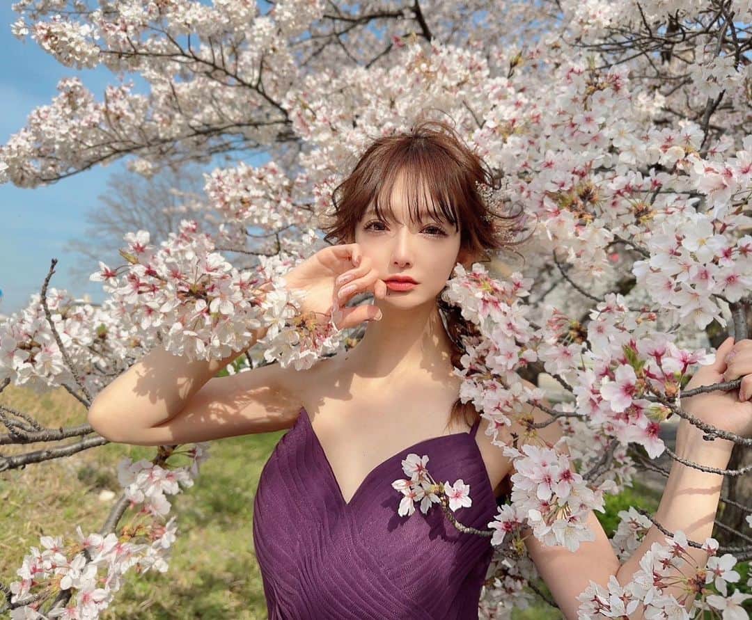 堀井大輔のインスタグラム：「・ 🌸🌸🌸🌸🌸 ・ 唯一の休みに桜が満開に。 ドンピシャで桜撮影できました ・ model @yunappleee  hair/photo @daisuke_5511  ・ #桜 #桜撮影  #ホリーマジック #ホリージョ撮影 #エモージョ #ホリージョ #クラウンヘアー #天白区 #名古屋 #ヘアセット#セット#ヘアアレンジ #プレ花嫁 #作品撮り #ウェディングドレス #結婚式コーデ #結婚式ヘアアレンジ #結婚式お呼ばれ #全国のプレ花嫁さんと繋がりたい #フォトブース #コテ巻き  #DRESSY花嫁 #ゼクシィ2023 #アップスタイル #おだんご #編みおろし #プラコレ ￼ 	◦」