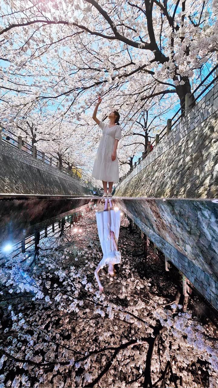 のインスタグラム：「桜好きすぎて、将来子どもできたらさくらって名前にします←」