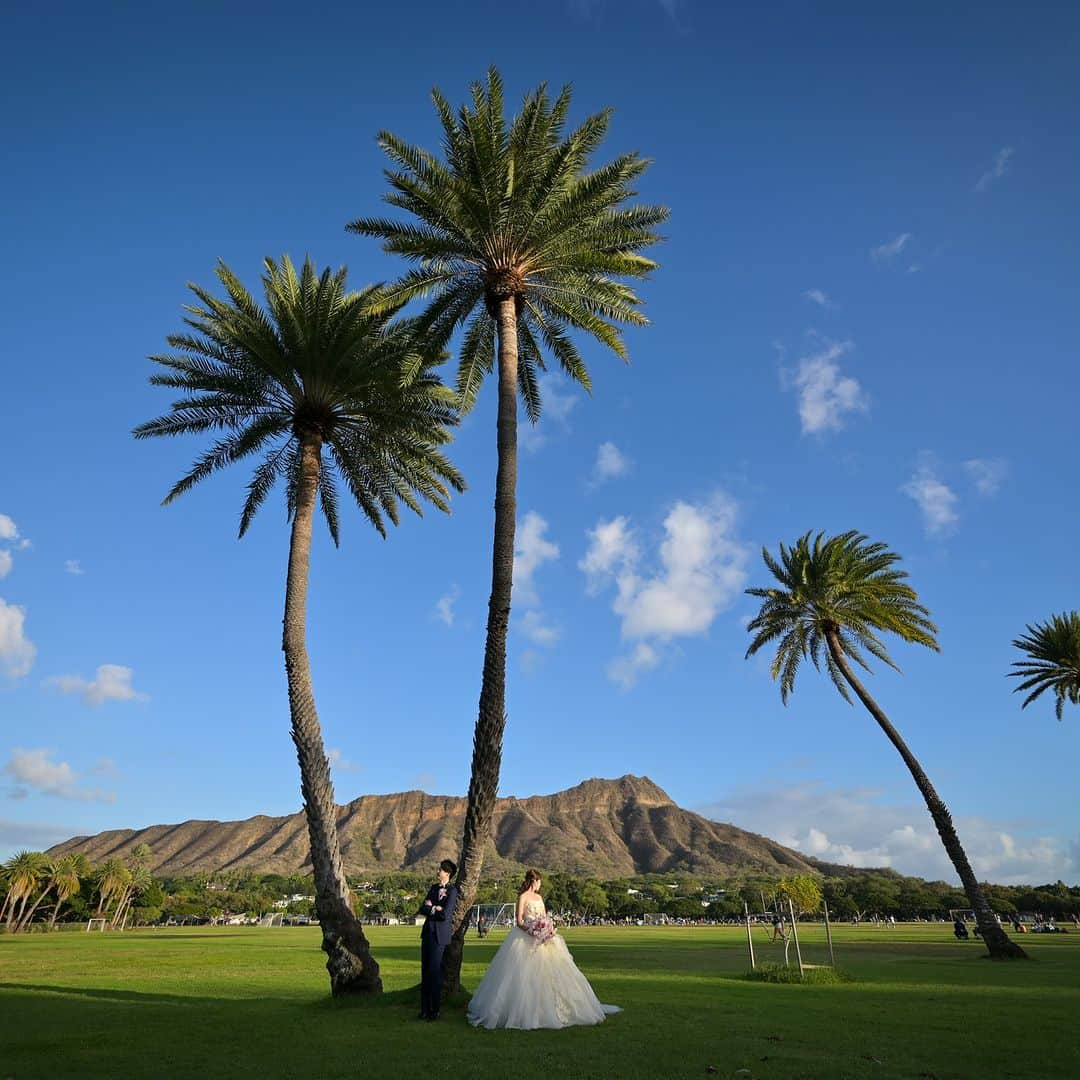 The Terrace By The Seaのインスタグラム：「@the_terrace_by_the_sea Hawaii Wedding情報はこちら𓂃𓈒𓏸  ---------  ハワイの大自然を感じながら ロケーションフォト𖥧𖥣𖡡𖥧𖤣  悠々とそびえるダイヤモンドヘッドの姿を 間近に望むことができるカピオラニパーク✯𓈒𓏸  ----------  ハワイのザ・テラス バイ・ザ・シーにて 挙式を検討されていらっしゃる方におすすめ✯  《今だけ、来店当日のご成約で 挙式料 10万円OFF  にてご案内中！ 》  挙式に必要な基本挙式、ドレス＆タキシード、新婦様ヘアメイク、アルバムがセットになったお得プランと合わせて通常価格より最大20万円OFF𓍯  ザ・テラス バイ・ザ・シーでは、健康と安全を最優先に配慮し、安心してハワイでの時間を楽しんでいただいております𓆉  ----------  = produce = モチーフ @motif_resort   = photo = Jason @jasoncabbab  @betterhalf_hawaii   ----------   プロフィール欄のURLより、ウエディングの相談ご予約も可能です。  小さい疑問や質問にもお答えいたしますので、お気軽にお問い合わせくださいませ🌺  #テラスバイザシー #TheTerraceByTheSea #TAKAMIBRIDAL #タカミブライダル #MotifRESORT #テラス花嫁 #モチーフ花嫁 #リゾートウェディング #リゾート婚 #ハワイ挙式  #ウェディング小物 #ロケーションフォト #カピオラニパーク」