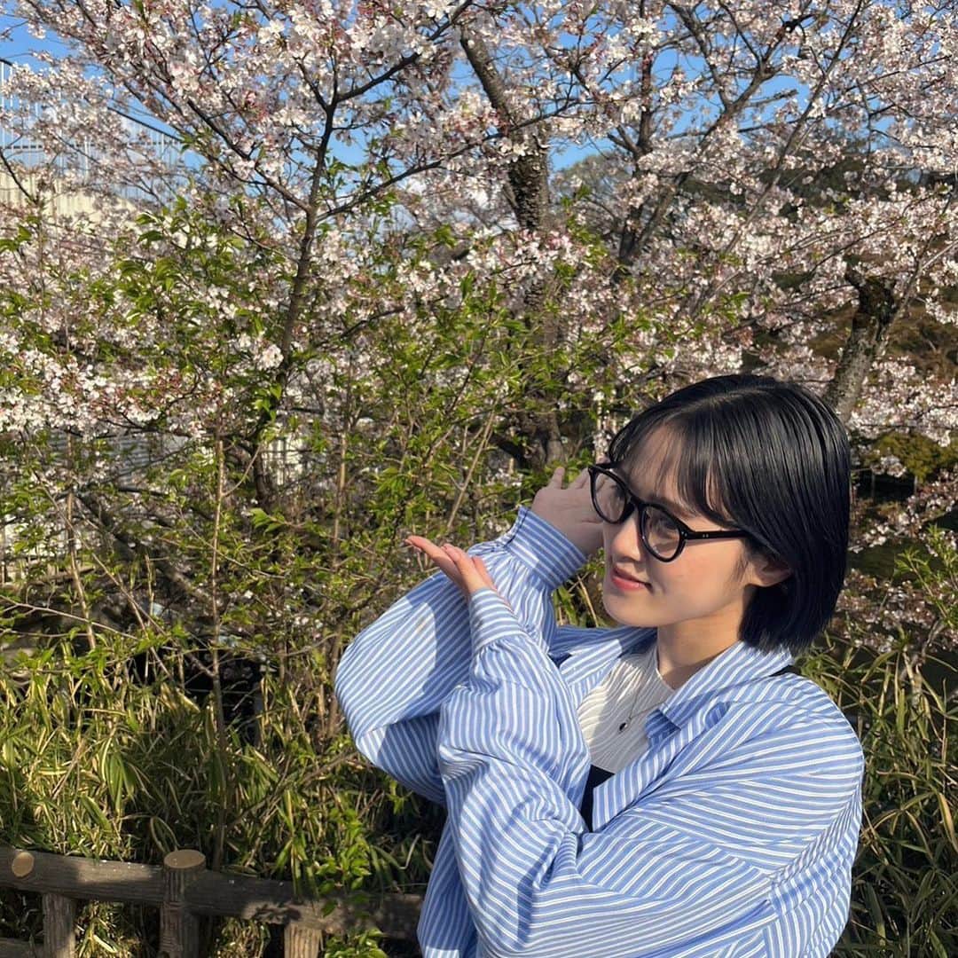小関舞さんのインスタグラム写真 - (小関舞Instagram)「. じゃーん葉桜🌿🌸  #お花見 #桜」3月31日 21時12分 - mai_ozeki.official