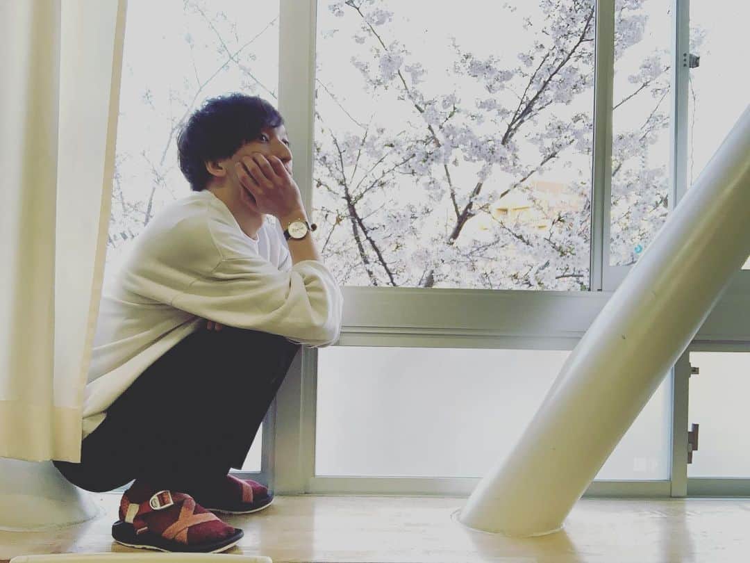 三好大貴のインスタグラム：「【34days.46】  舞台上で死ぬ役わりと多い  今作 #世界が消えないように だってそう  自分なりに拘ってるのは ''できるだけ本当に死ぬ''ってこと  あくまでフィクションやし 作品によっては劇的に描かれるけど それでも出来るだけ本当に死んであげる  『みんなが生きてられるように』  かっこつけやと思われても全然いい でもほんまにそう思っちゃうから 命が消える瞬間を丁寧に演じてたい  特に舞台は誰かの為にしか存在できんくて 本番になると客席の皆の為にも演じたい  代わりに泣きたいし 代わりに笑いたいし 代わりに死にたい  みんなが笑えるように みんなが泣けるように みんなが生きてられるように  今日も命懸けで通し稽古してきた 本番観てくれたみんなが あったかい春を過ごせるように  ✌️  ps.3月もお疲れさん♪4月もがんばろーな！ #三好大貴 2023.3.31」