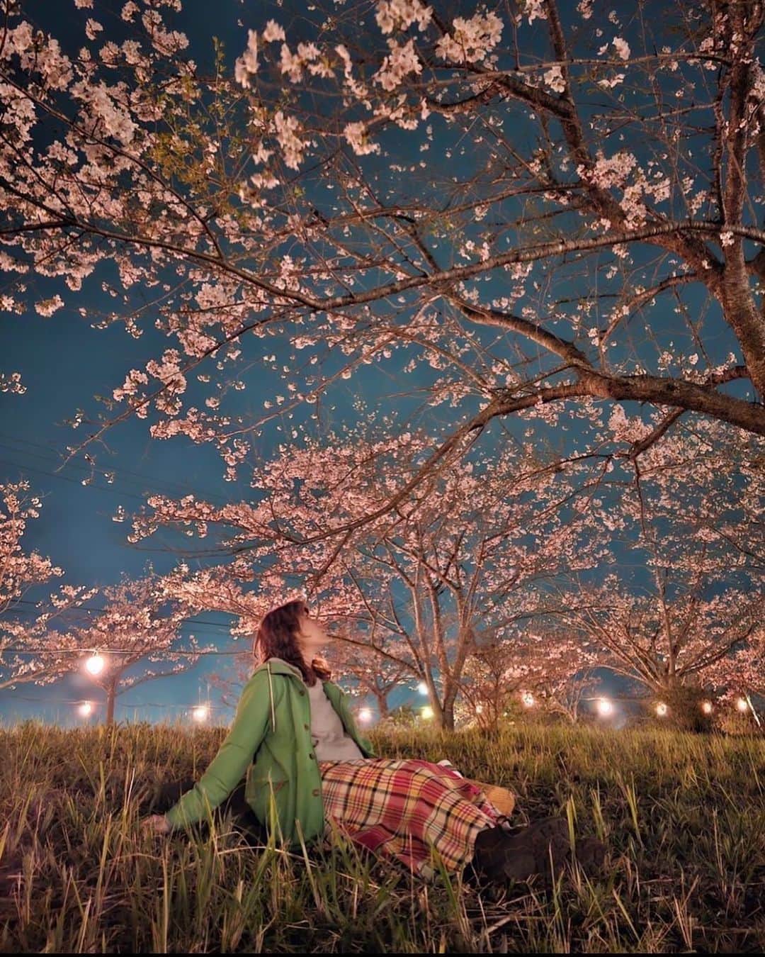 Y U R I Eのインスタグラム：「#夜桜 🌸🌸🌸  4月下旬に発売予定の Galaxy S23 Ultraで撮影しました🤳🏼  この写真、まさかの加工なし🍐（色味の調整もなし！） えっすごくない？🤣 ナイトモードにして桜が画面いっぱいになるようにローアングルで撮ったよ🌙  夜間の撮影が強いって聞いていたけど、ここまでとは思ってなかったので、凄すぎて思わずお口ポカーン😮 後ろの提灯の写り方もポワァーっと写ってて好き🥹🫰🏼❤️‍🔥  #GalaxyS23Ultra #TeamGalaxy  #ambassador #withGalaxy #Galaxyのある生活  #sakura #桜#さくら」