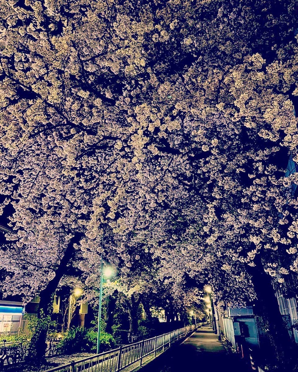 武田知大さんのインスタグラム写真 - (武田知大Instagram)「球春到来⚾️」3月31日 19時45分 - tomohir0917