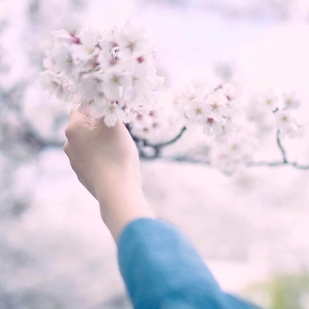 近藤華さんのインスタグラム写真 - (近藤華Instagram)「もう若干葉桜になってて衝撃 な近藤です。最近のお気に入りの帽子です #近藤華 #トップコート」3月31日 19時38分 - hanakondo_official