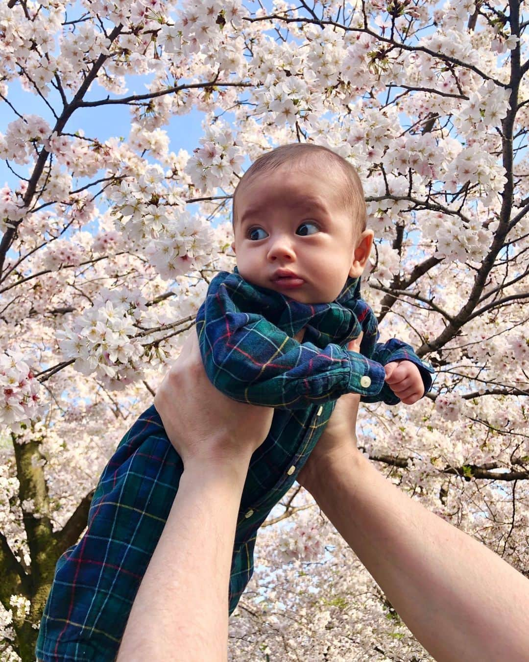 舟橋菜々さんのインスタグラム写真 - (舟橋菜々Instagram)「一昨日お花見に行ってきました🌸🍡  見頃はまだまだ先じゃない？なんて話していたけど、ちょうど満開😳 木によってはもう葉桜ぎみになっているものもチラホラあったから、間に合って良かった🙌🏻 写真二枚目、チューリップも綺麗に咲いていました🌷  イカ焼き、いちご飴、10円パン、トルネードポテト、カステラ、ホルモン唐揚げ、綿あめなどなど出店フードも満喫出来て楽しかった😊 #cherryblossom#tulip#beautiful#flower#park#japan#baby#kids#桜#お花見#日本#チューリップ#花#赤ちゃんのいる暮らし#子供#姉弟」3月31日 19時46分 - wombatnana