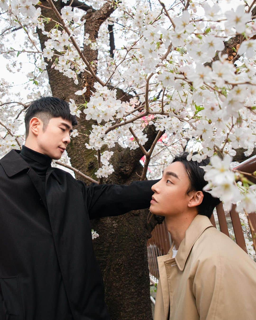 Noah（ノア）のインスタグラム：「桜とあなたと私  @burberry  #TaikiNoah#Burberry#PR」