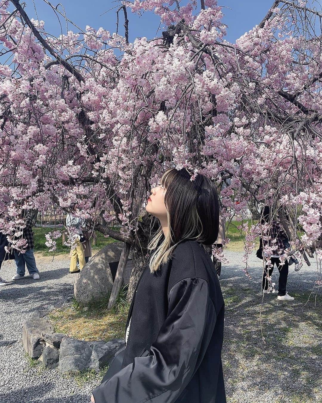 沢村りさのインスタグラム：「今回は桜ちゃんとうつってます🌸 ⁡ ⁡ ⁡ ⁡ ⁡#桜 #cherryblossom #春 #spring  #🌸 #ffff #lfl #03 #19 #ミディアム #インナーカラー #外ハネ #ヘアアレンジ #팔로우 #좋아요 #팔로우미 #인스타 #셀스타그램 #메이크 #화장품 #instagood #京都 #嵐山 #kyoto #arashiyama」
