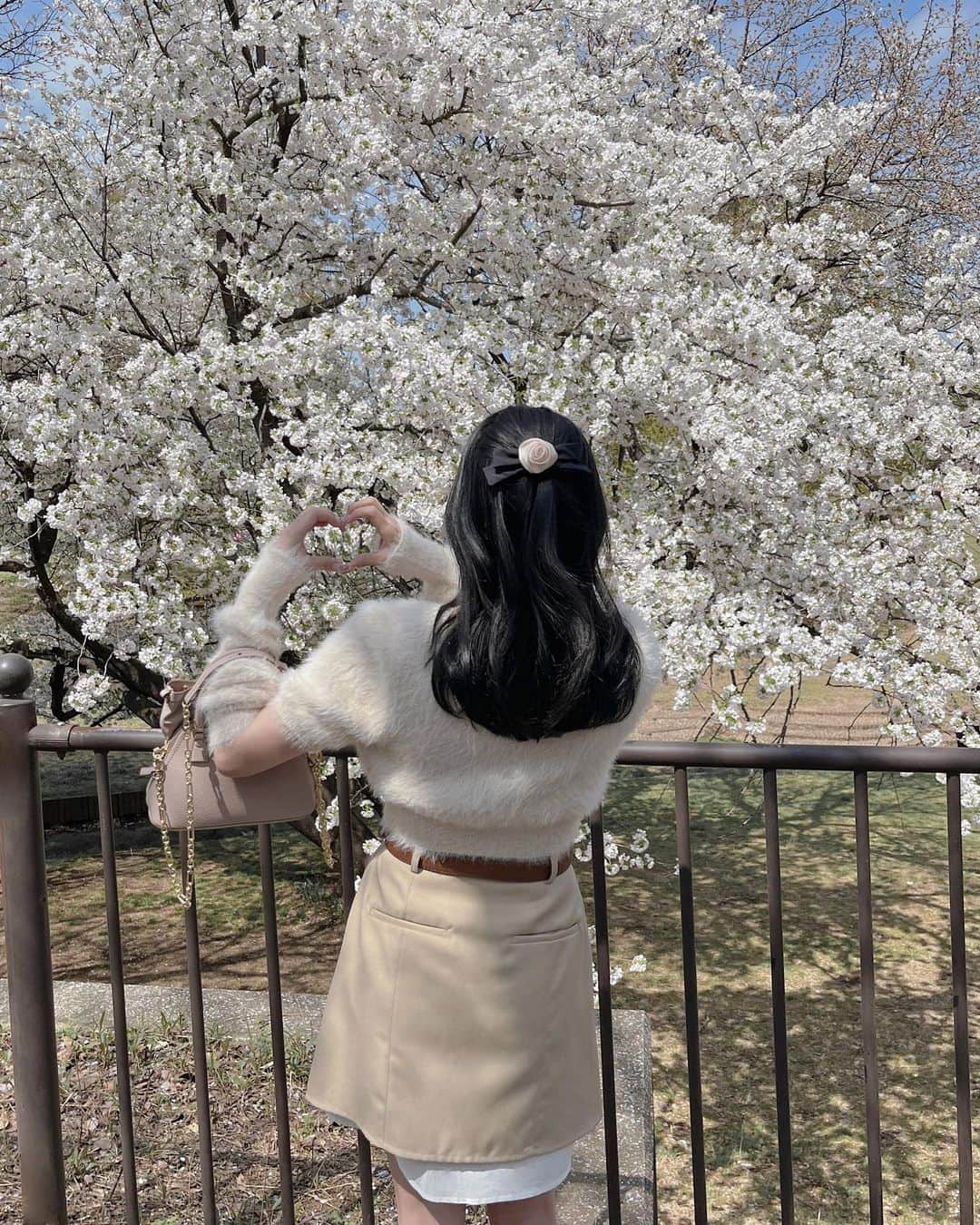 ayaのインスタグラム：「🪞🌸🪿  満開もいいけど散り始めて 地面が桜の絨毯で ピンクになるのもかわいい🫶🏻🌸  #桜 #桜🌸 #🌸 #sincethen #snidel #thevirgins #スナイデル」