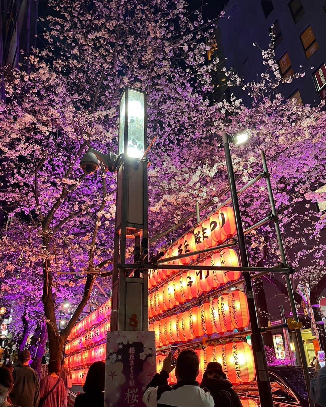 森青葉のインスタグラム：「☺︎ 通りすがりの桜を 取り急ぎ撮っているあたし＾＾」
