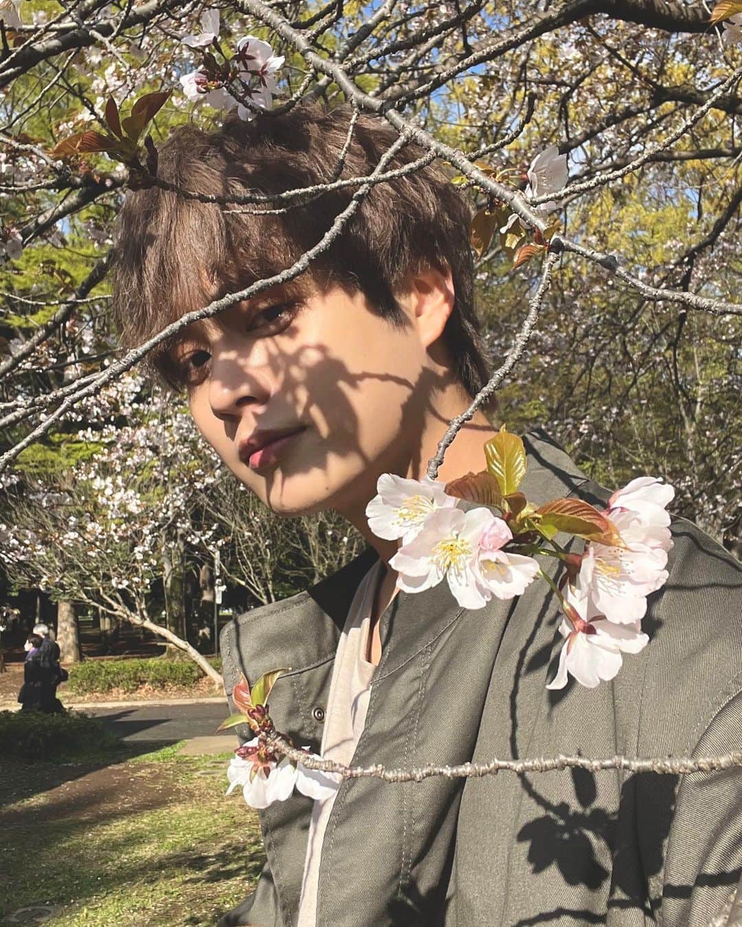 橋本裕太さんのインスタグラム写真 - (橋本裕太Instagram)「Sakura」3月31日 20時15分 - yuta_gram