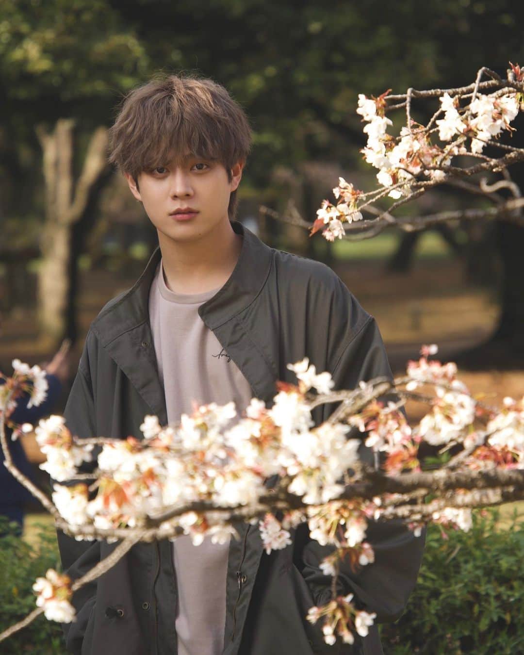 橋本裕太のインスタグラム：「Sakura」