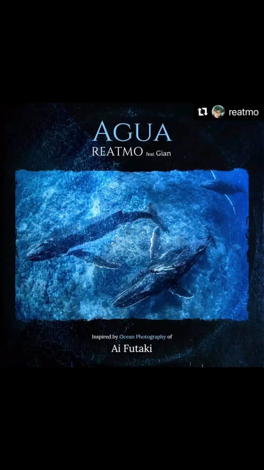 二木あいのインスタグラム：「⁡ ⁡ Repost @reatmo ・・・ 【New Release!】REATMO - “Agua” ○ Composed under the inspiration of @aifutaki ocean photography / Jacket photograghy by Ai Futaki, taken by @darrenjew ○ Bass and Acoustic Guitar impro @kireina_gian  ○ Artwork designed by @ryo.megamax  ⁡ 二木あいちゃんの作品にインスパイアされて生まれた楽曲「Agua」。満を辞してリリースしました！ あいちゃんの作品を通して見る海は、賑やかなような静謐なような、はたまた果てしない宇宙のような、そんな光景。その素晴らしい景色を音にしようと試みました。 曲中には、海の住民たちの声や歌、深海の音など、海中のあらゆる音をサンプリングしてもいます。 ⁡ ぜひ聴いてね！🐳🐬🐢🐠  Spotify https://onl.sc/9KME8ij  Apple Music https://music.apple.com/jp/album/agua-feat-gian/1679106883?i=1679106884  ⁡YouTube Music https://music.youtube.com/watch?v=d_b9BLvFZ2Q&feature=share  #aifutaki #gian #agua #REATMO #ocean #nature #naturephotography #coexist  #beatbox #whalesong #coexistance ⁡ #環境省 #森里川海プロジェクト #海アンバサダー @morisatokawaumi_  @mymizu.co @bewet_water_suits @breier.swimfins @aqua_lung_japan」