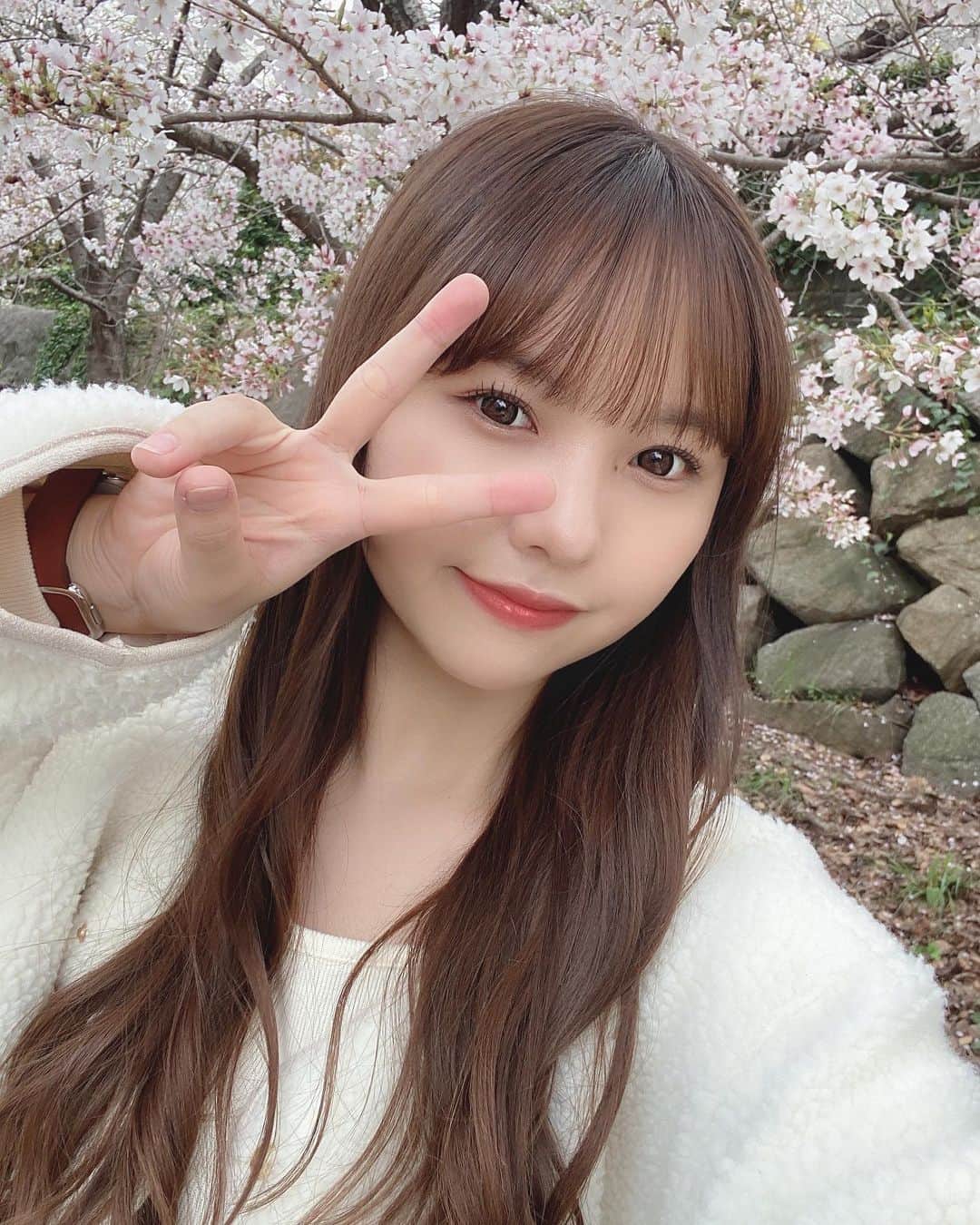 本郷柚巴のインスタグラム：「🌸🌸🌸  #桜 #大阪城公園」