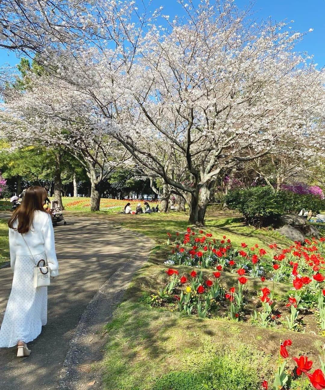 Moeka Takamatsuさんのインスタグラム写真 - (Moeka TakamatsuInstagram)「♡ 桜の他にも色んなお花咲いてて綺麗だった🌸🌷🌼*･ . . . . . #別府公園#桜#お花見#お花見コーデ#春服コーデ#コーデ#ファッション#コーディネート#デートコーデ#プチプラコーデ#グレイル#カジュアルコーデ#低身長コーデ#ロングヘア#ヘアスタイル#サロモ#被写体#写真 #fashion#grl#hanami#sakura#hairstyle#makeup#love#selfie#selca#followme#instagood#like4like」3月31日 20時37分 - moka_222