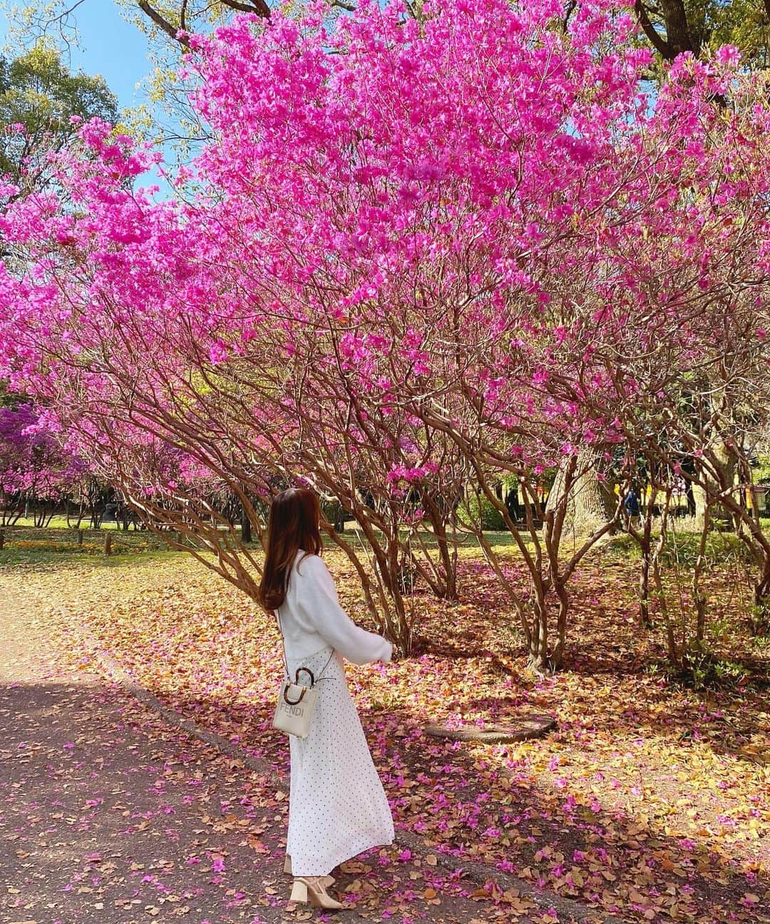 Moeka Takamatsuさんのインスタグラム写真 - (Moeka TakamatsuInstagram)「♡ 桜の他にも色んなお花咲いてて綺麗だった🌸🌷🌼*･ . . . . . #別府公園#桜#お花見#お花見コーデ#春服コーデ#コーデ#ファッション#コーディネート#デートコーデ#プチプラコーデ#グレイル#カジュアルコーデ#低身長コーデ#ロングヘア#ヘアスタイル#サロモ#被写体#写真 #fashion#grl#hanami#sakura#hairstyle#makeup#love#selfie#selca#followme#instagood#like4like」3月31日 20時37分 - moka_222