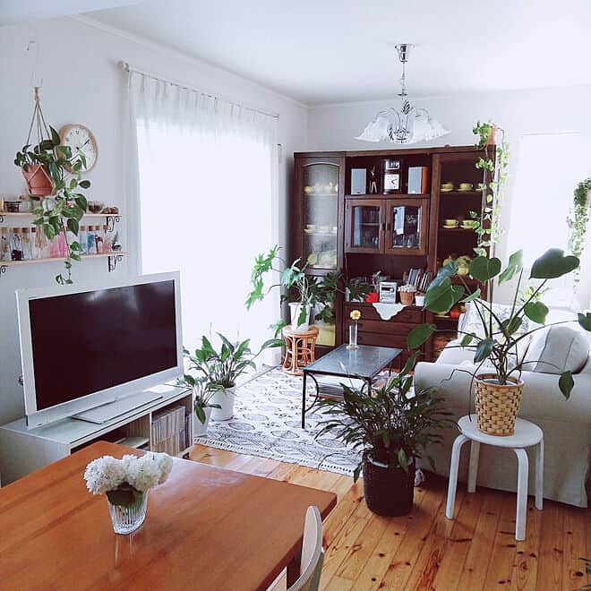 RoomClipJPさんのインスタグラム写真 - (RoomClipJPInstagram)「たくさんの植物やお花とパイン材の床に癒されるsurviveさんのお家。カナダの輸入住宅とのことで、アンティーク家具との相性も抜群で、暖かい空気に包まれていますね。  Photo:survive(RoomNo.4730337)▶︎この部屋のインテリアはRoomClipのアプリからご覧いただけます。アプリはプロフィール欄から⁣  #roomclip #ルームクリップ #マイホーム計画中の人と繋がりたい #こだわりの家 #おうちづくり #カフェ風 #カフェスタイル #日々の生活 #テーブル #住まい #カフェ風インテリア #自然素材の家 #ペンダントライト #自然素材 #テレビボード #アンティーク雑貨 #テーブルウェア #一戸建て #アンティーク家具 #寝室インテリア #ベッドルーム #輸入住宅 #パイン材 #戸建て #リビングダイニング #カウンター #カウンターキッチン #キッチンインテリア #おしゃれな家 #ナチュラルキッチン」3月31日 20時30分 - roomclipjp