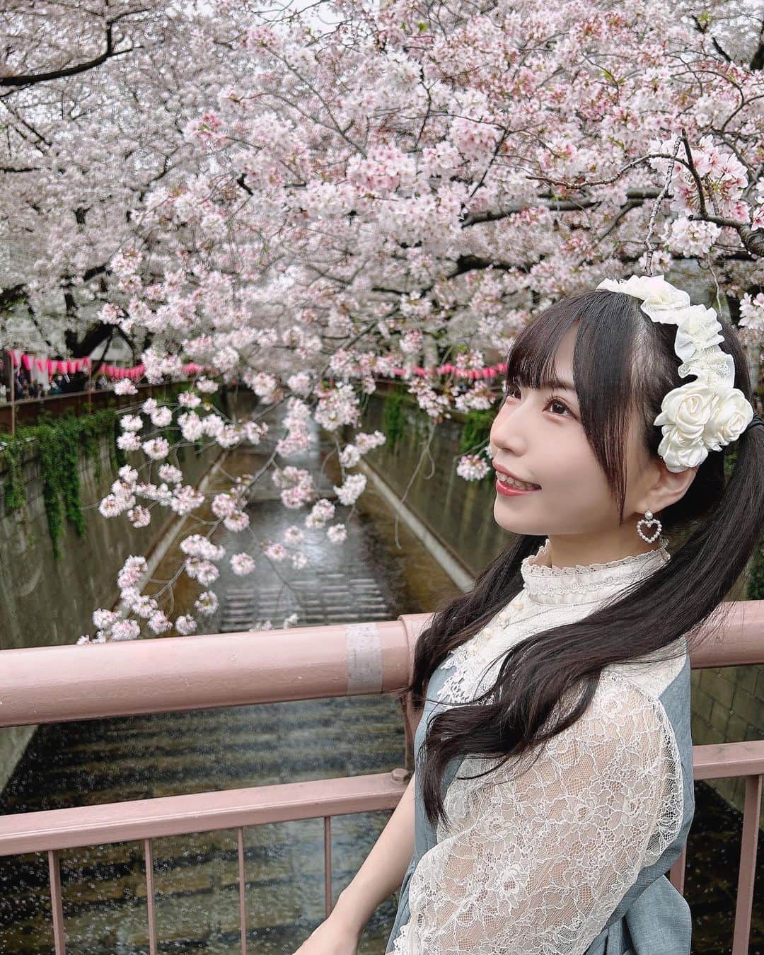 のインスタグラム：「遅めだけど桜見に行ってきた🌸 . . . . . #アイドル#girl#idol#kawaii#kawaiigirl#kawaiifashion#followme#東京#ファッション#可愛い#かわいい#follow#フォローミー#自撮り#可愛い女の子#かわいい女の子#cosplay#cosplayer#cosplaygirl#cosplayers#コスプレ#コスプレイヤー#コスプレ女子#桜#目黒川#中目黒#池尻大橋#ロリータ#lolita#ロリータファッション」