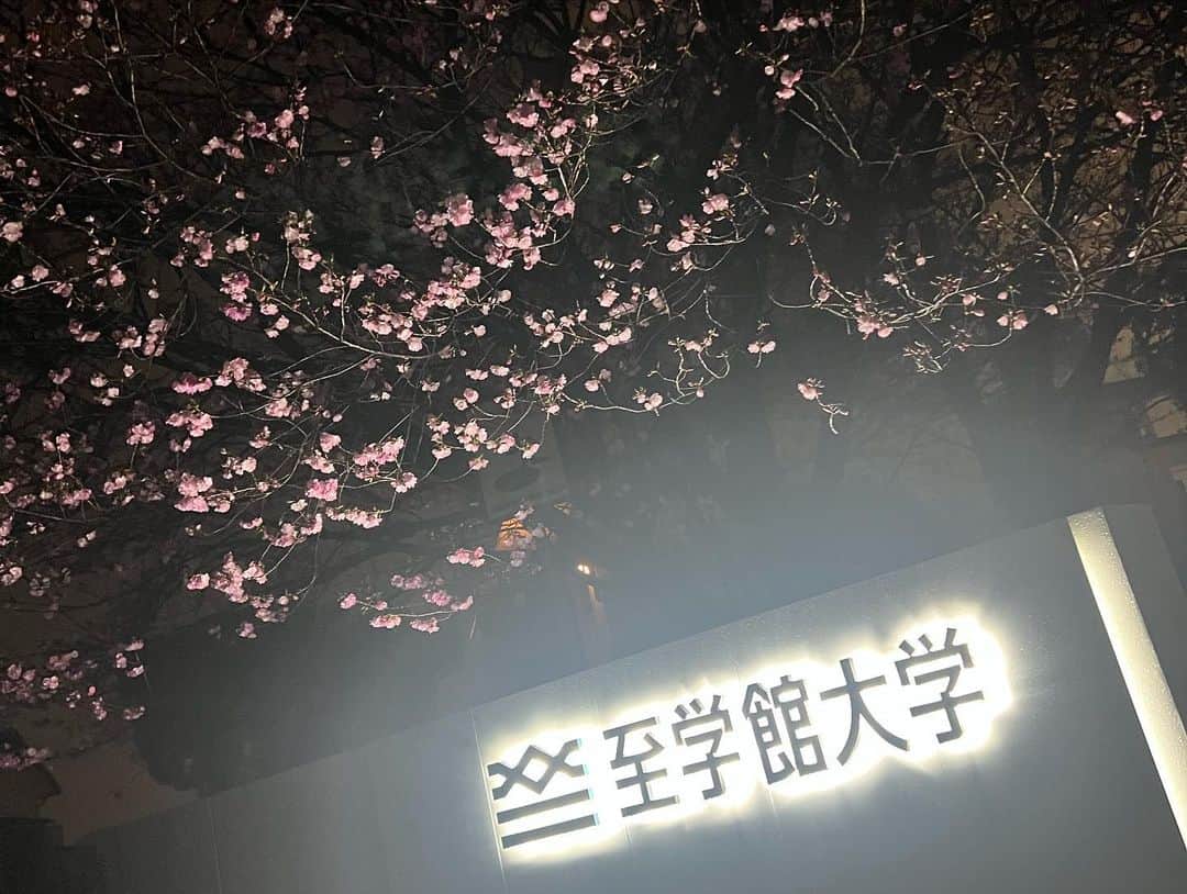 寺本明日香さんのインスタグラム写真 - (寺本明日香Instagram)「4月に向けて🌸 新学期 頑張っていこっ！  #夜桜 #グッバイ3月」3月31日 20時46分 - teramoto_asuka