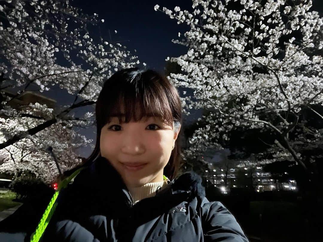 寺本明日香のインスタグラム：「4月に向けて🌸 新学期 頑張っていこっ！  #夜桜 #グッバイ3月」