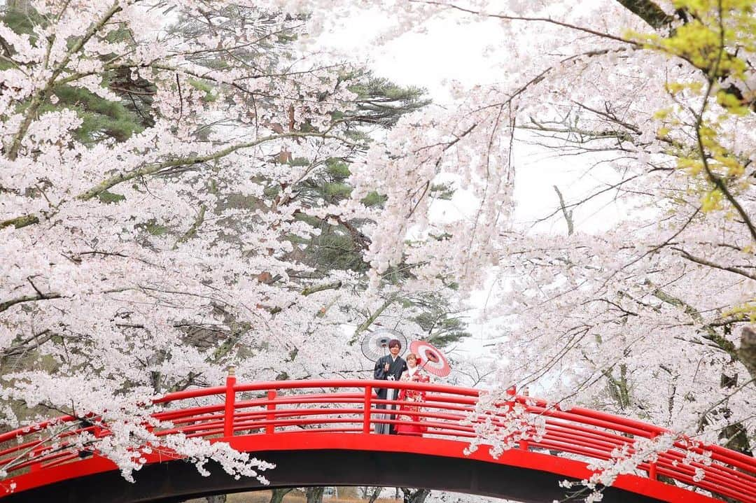 ブライダル グランシア須賀川《福島県須賀川市：結婚式場》のインスタグラム：「＼桜🌸フォトウェディング／  すでに来年の桜シーズンの お問い合わせも！  1番素敵な時期に お写真残しませんか？☺️  ☆。・。・。・。・。・。・。・。・。・☆  🌿須賀川の結婚式場 　【グランシア須賀川】  🌿住所　福島県須賀川市池上町７４ 🌿TEL　0248-75-1166 🌿FAX　0248-76-0484 🌿mail　info@grancia.jp 🌿公式HPでは最新情報を日々更新中♪ www.grancia.jp  🌿LINE公式アカウントも登場！ お得な情報を受け取るには、以下のリンクから友だち追加してください◎ https://lin.ee/1cChnUR  🌿フェアのご予約は、公式ホームページから、または公式LINE、お電話からも受付中♡  ☆。・。・。・。・。・。・。・。・。・☆   #須賀川の結婚式場 #須賀川結婚式 #グランシア須賀川 #グランシア #オリジナルウェディング #wedding #happy #プレ花嫁 #プレ花婿 #貸切 #結婚式 #ブライダル #オシャレ #人気式場 #幸せ結婚式 #ナチュラル #japan #sukagawa #フォトウェディング #緑 #スイーツ」