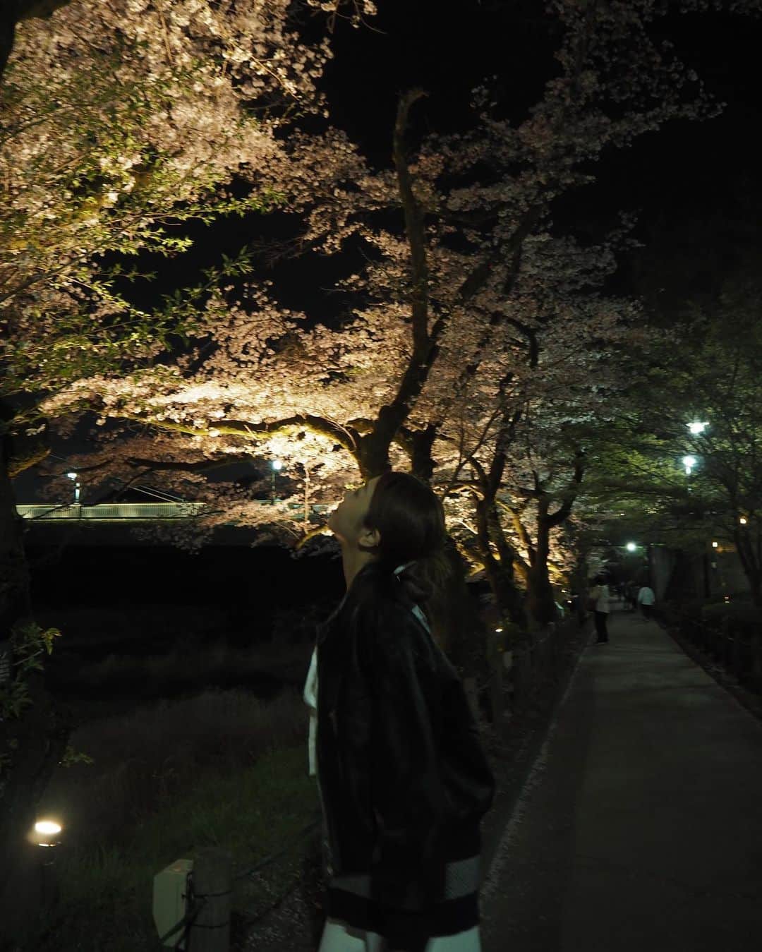 碓井玲菜さんのインスタグラム写真 - (碓井玲菜Instagram)「夜桜さんぽ🌸🌸🌸」3月31日 20時41分 - reina_usui